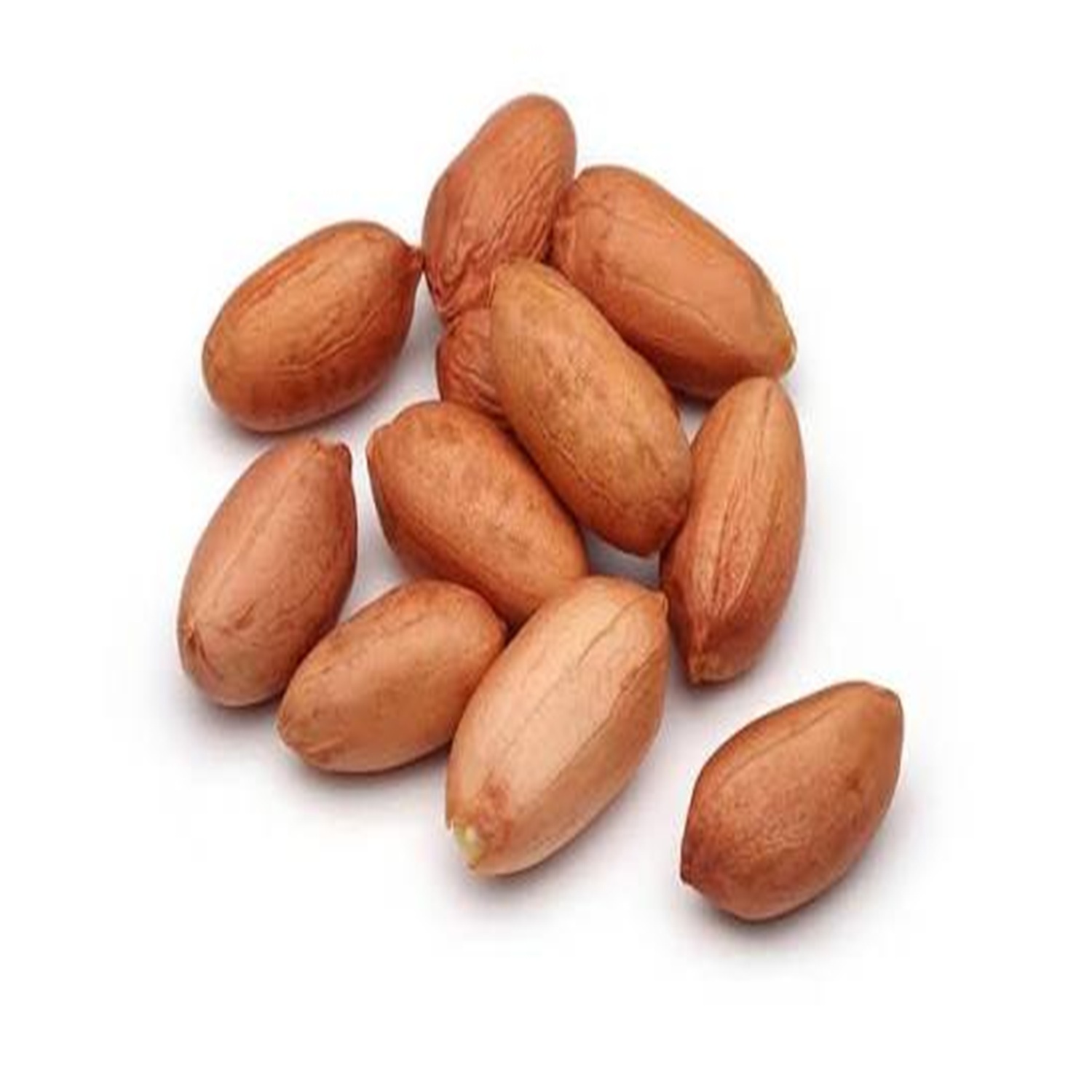 Bold Peanut Kernels